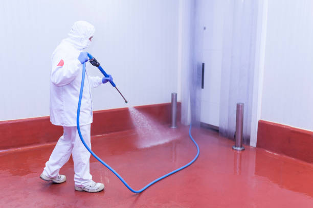 Best Spring Cleaning  in Portsmouth, NH